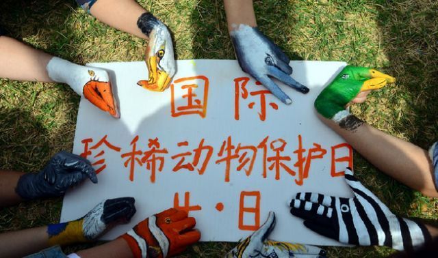 05675819ff5449fd906d03205c9b7594.jpeg 05675819ff5449fd906d03205c9b7594.jpeg