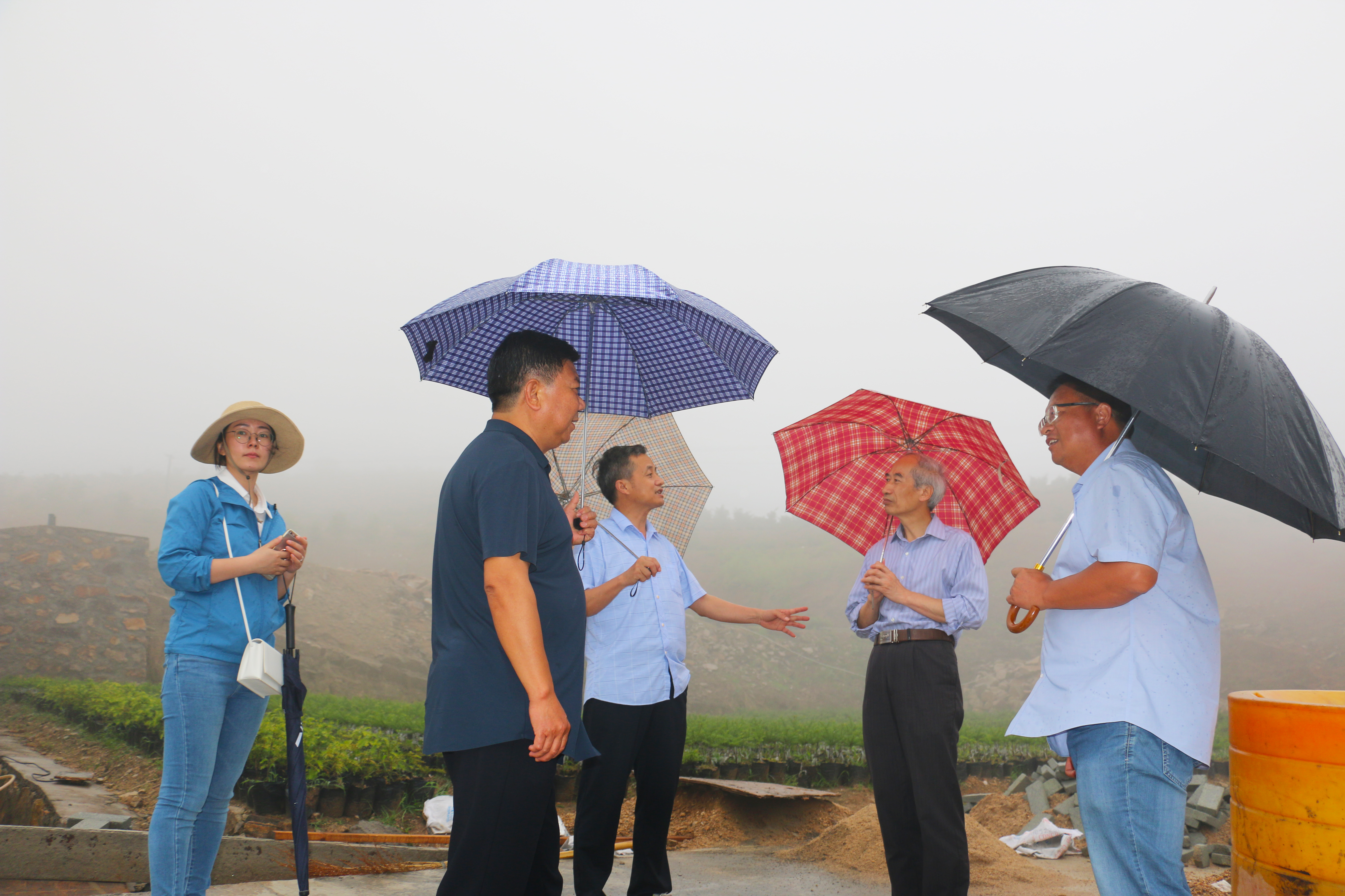 20200605-安徽农业大学林学与园林学院副院长徐小牛教授一行到潜山市鸿凯经汇金天柱等林业企业开展技术指导-王学胜 (17)副本.jpg