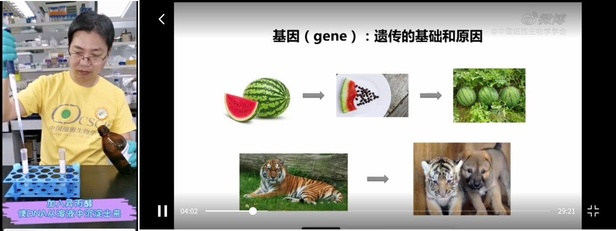 图2. 解码基因的讲座和操作（屠俊，陈亚兰）