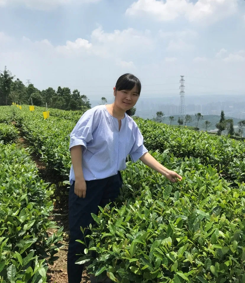 640.webp_副本.jpg 640.webp_副本.jpg