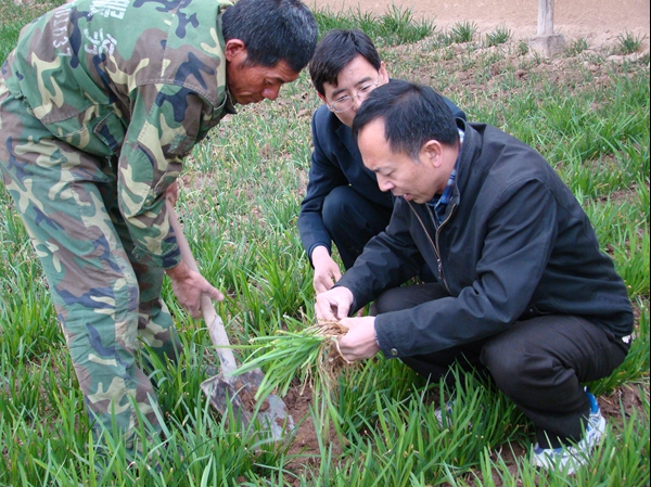 刘长仲教授在做根蛆发生调查.png