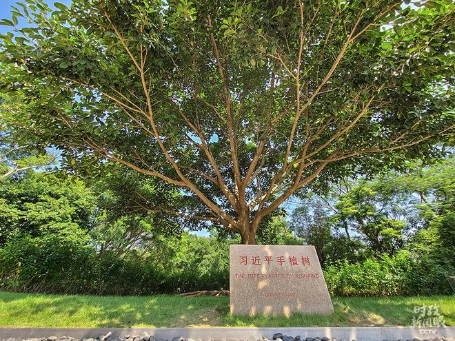 时政新闻眼丨四十“圳”当年 习近平强调新时代经济特区建设要这样干