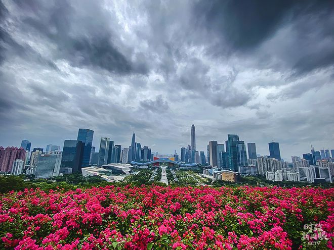 时政新闻眼丨四十“圳”当年 习近平强调新时代经济特区建设要这样干