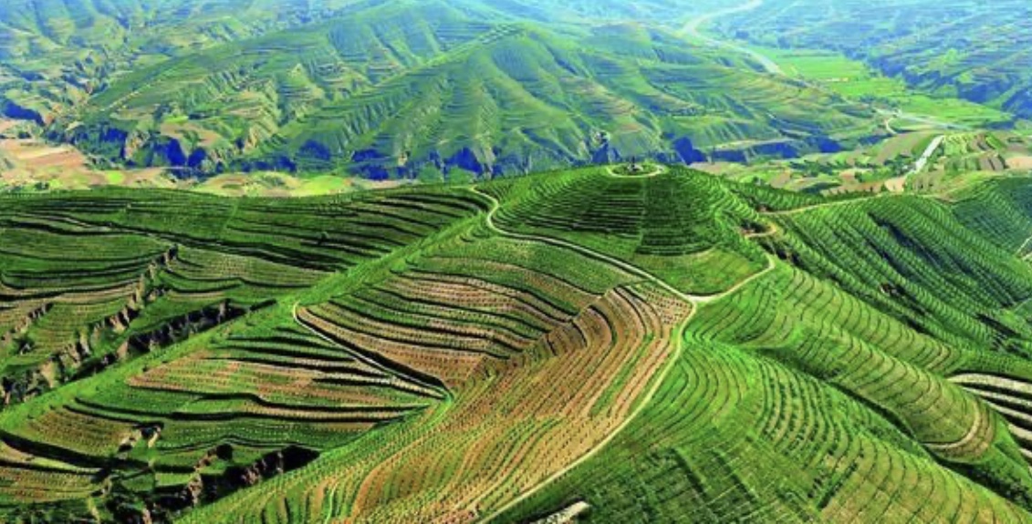 新建文件夹IMG_8277(20201228-095458).PNG 新建文件夹IMG_8277(20201228-095458).PNG