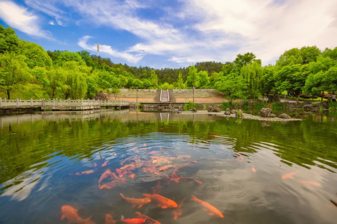 640.webp (3).jpg 640.webp (3).jpg