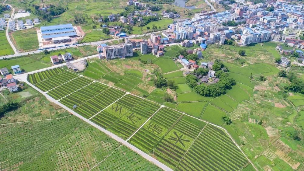 微信图片_20210113200025.jpg 微信图片_20210113200025.jpg