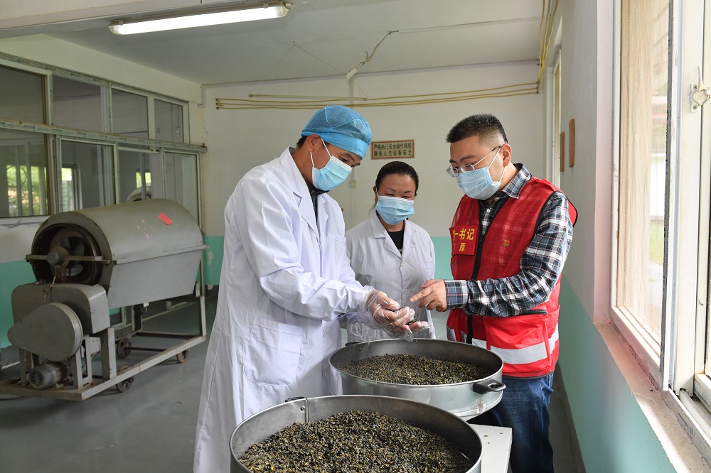 江竹村茶叶合作社已初具规模，带头人潘永辉（左一）与第一书记探讨产品质量.JPG
