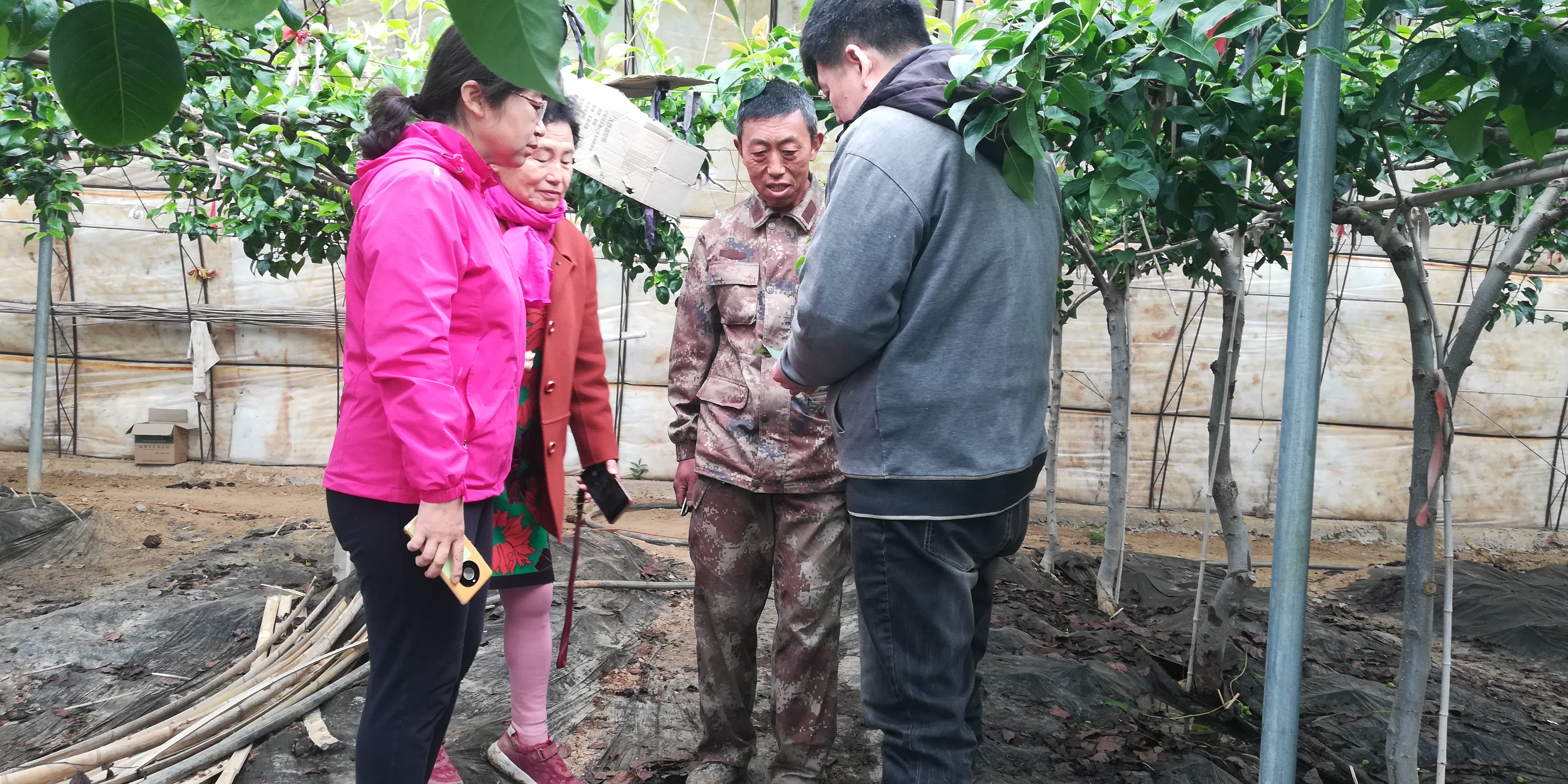 IMG_20210403_094035.jpg IMG_20210403_094035.jpg