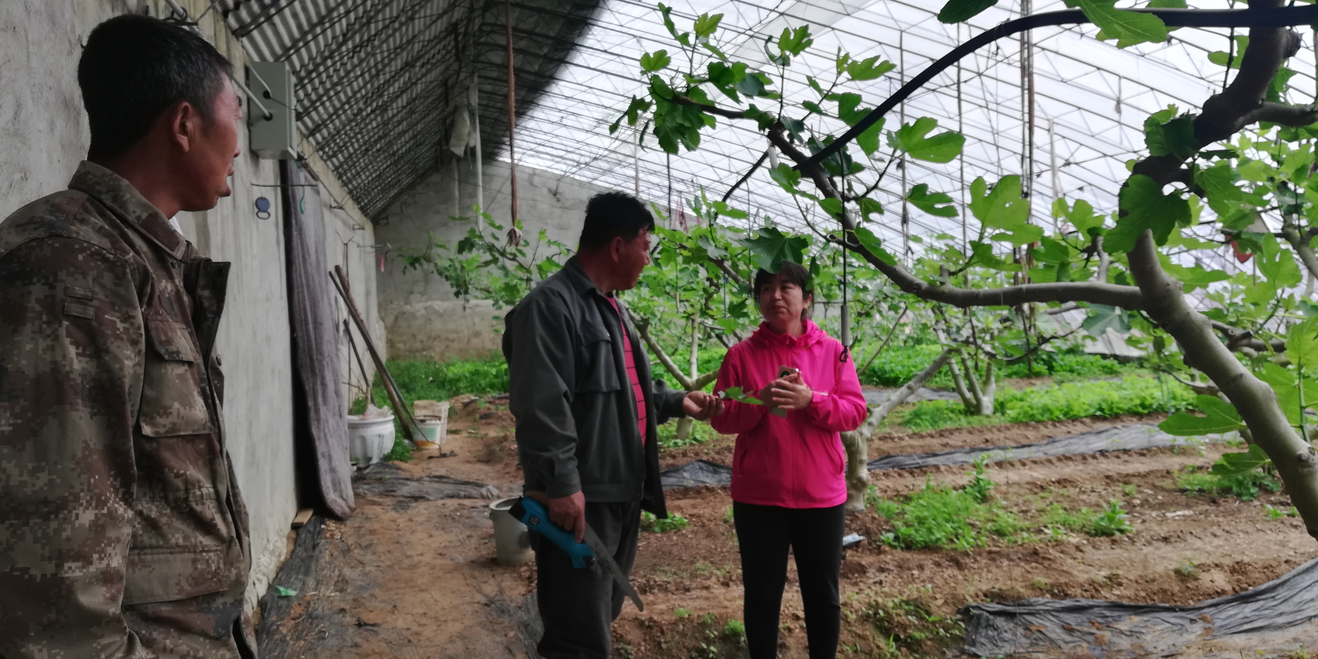 IMG_20210403_113216.jpg IMG_20210403_113216.jpg