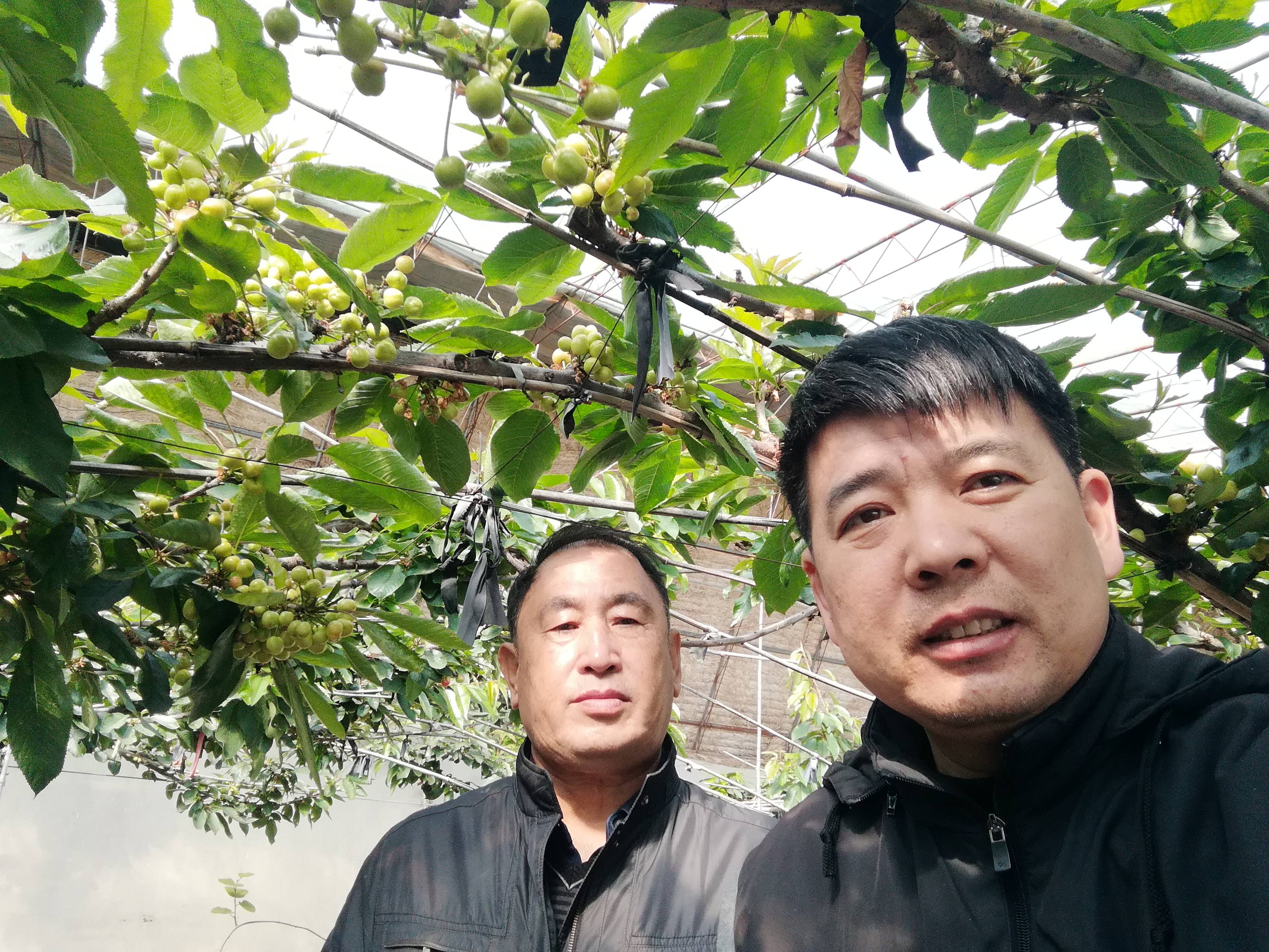 IMG_20210404_093255.jpg IMG_20210404_093255.jpg