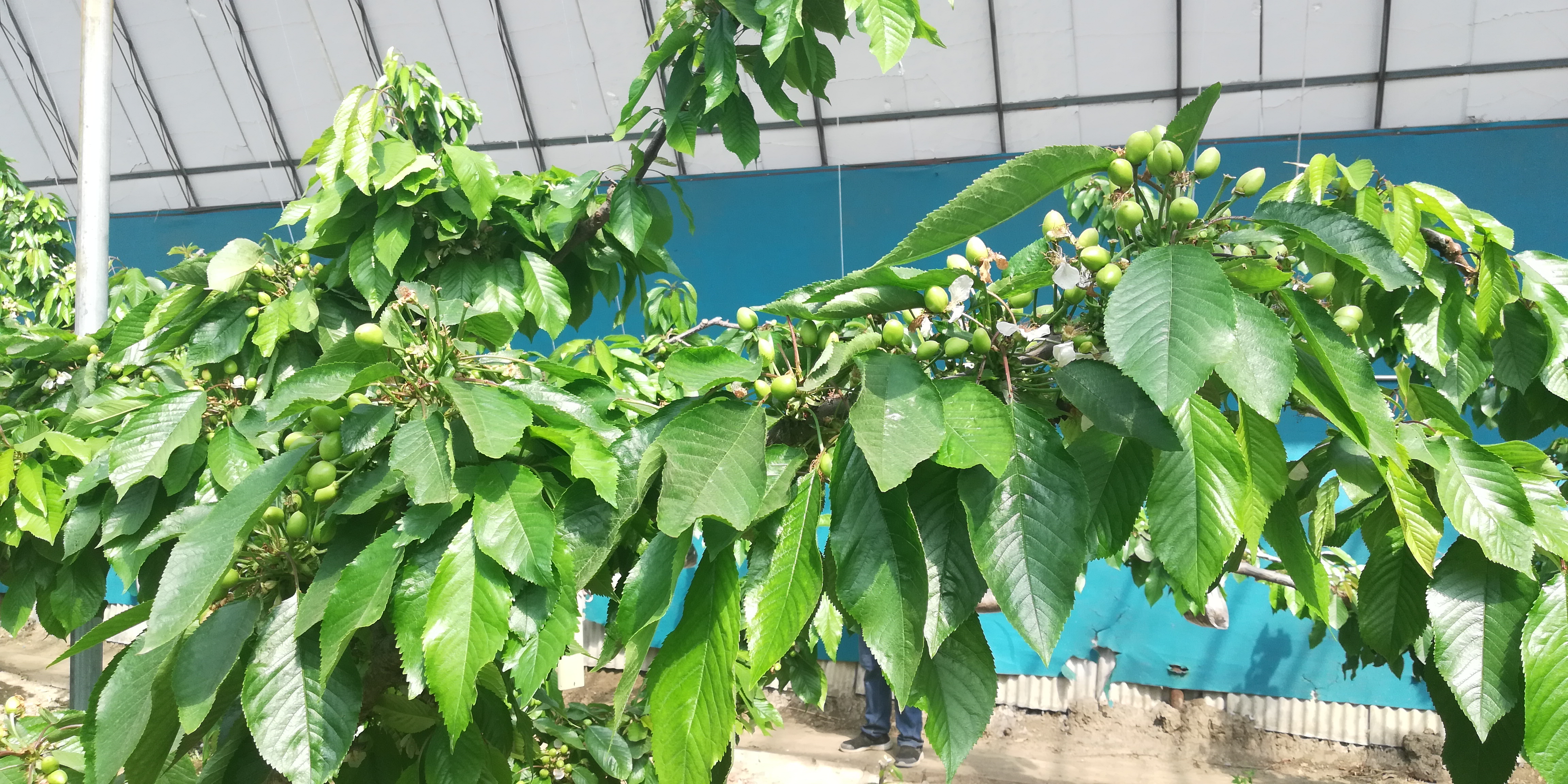 IMG_20210404_101921.jpg IMG_20210404_101921.jpg