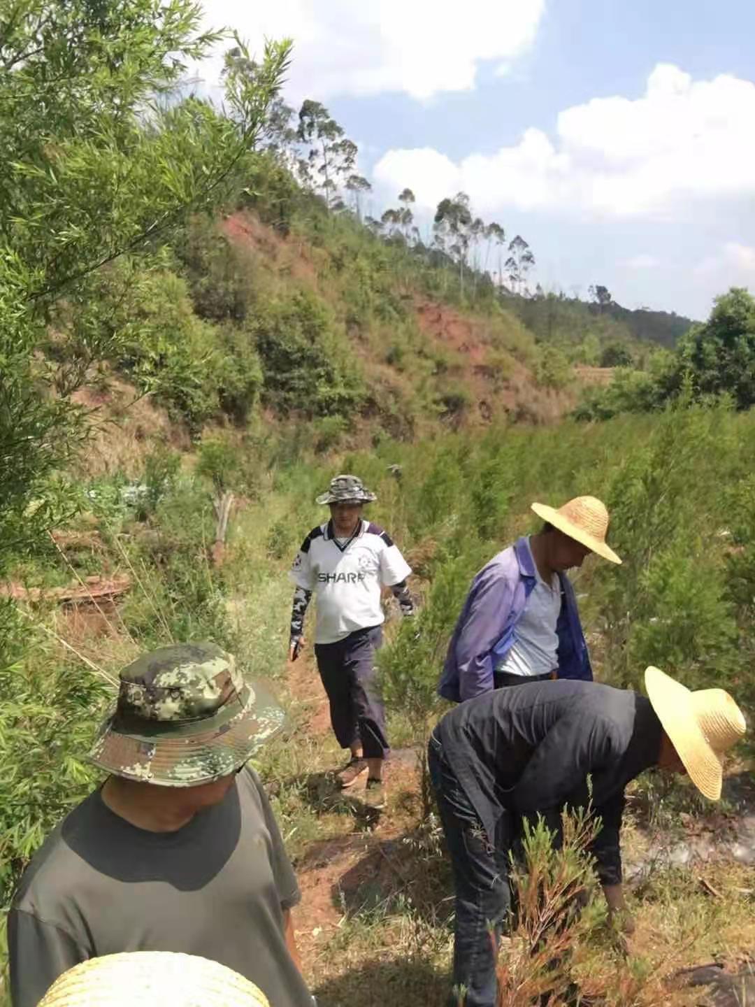 实地勘察，为产业发展夯实基础。