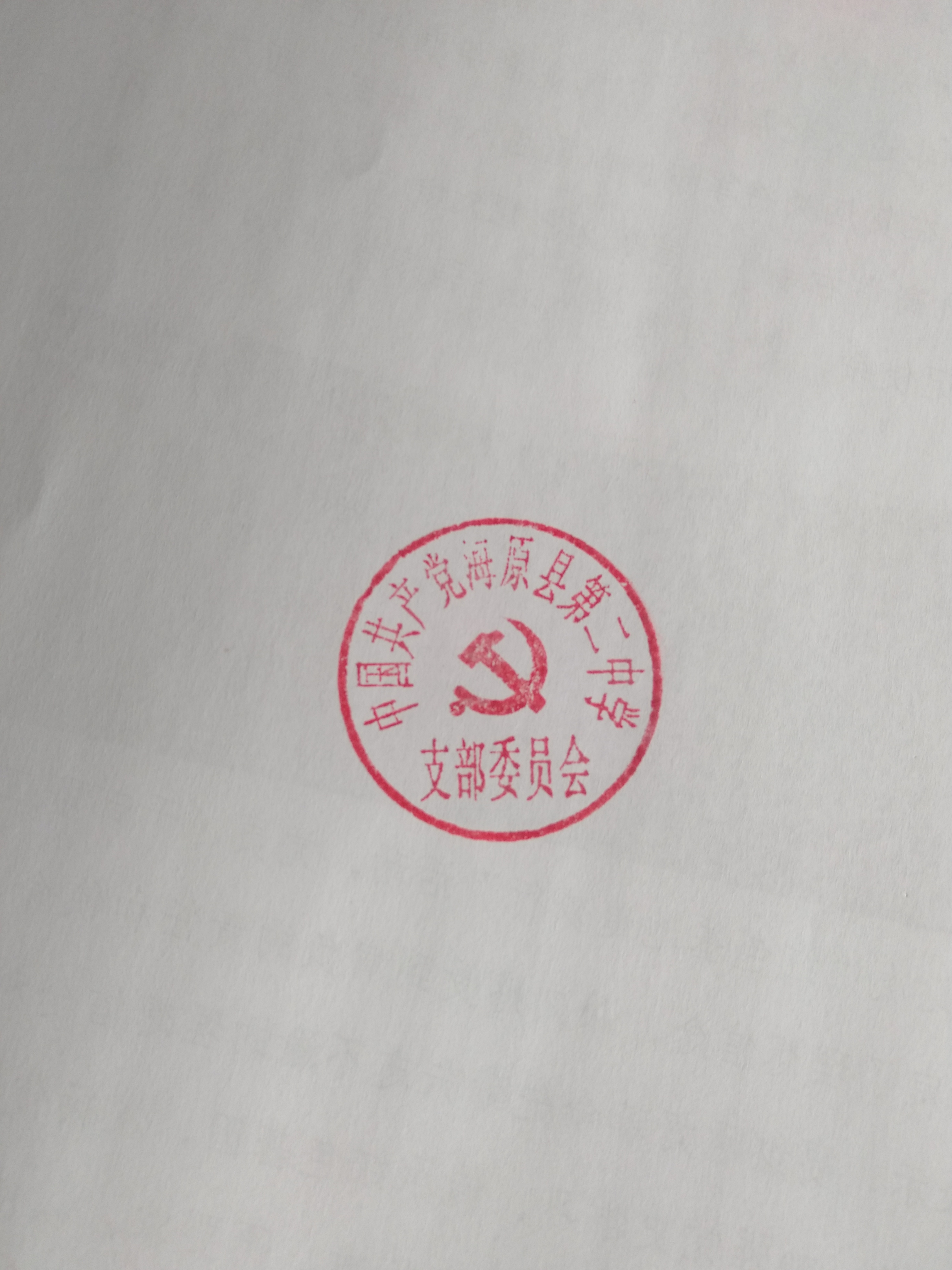 中卫市海原县二中党支部“印制一枚印章”