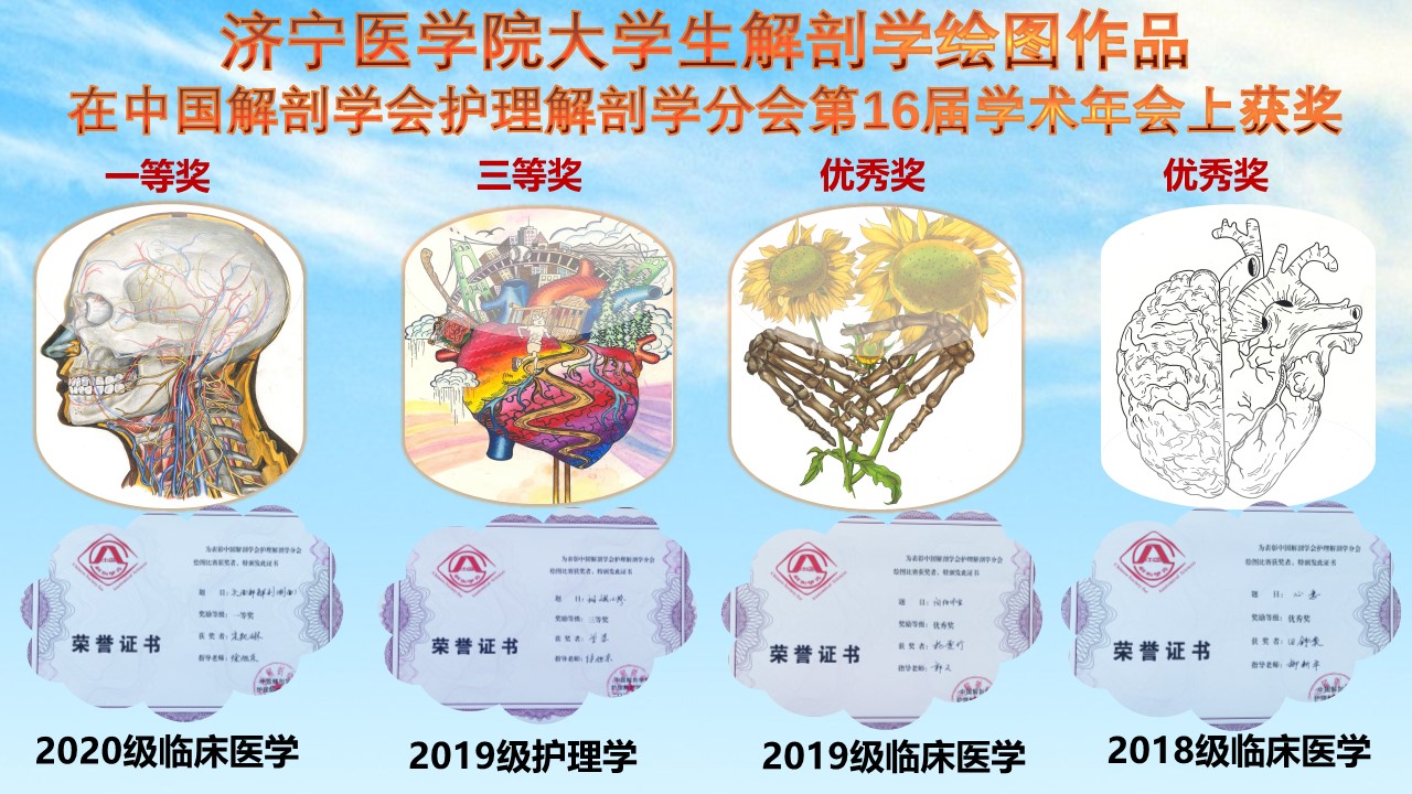 获奖第16届护理解剖学术年会.jpg 获奖第16届护理解剖学术年会.jpg