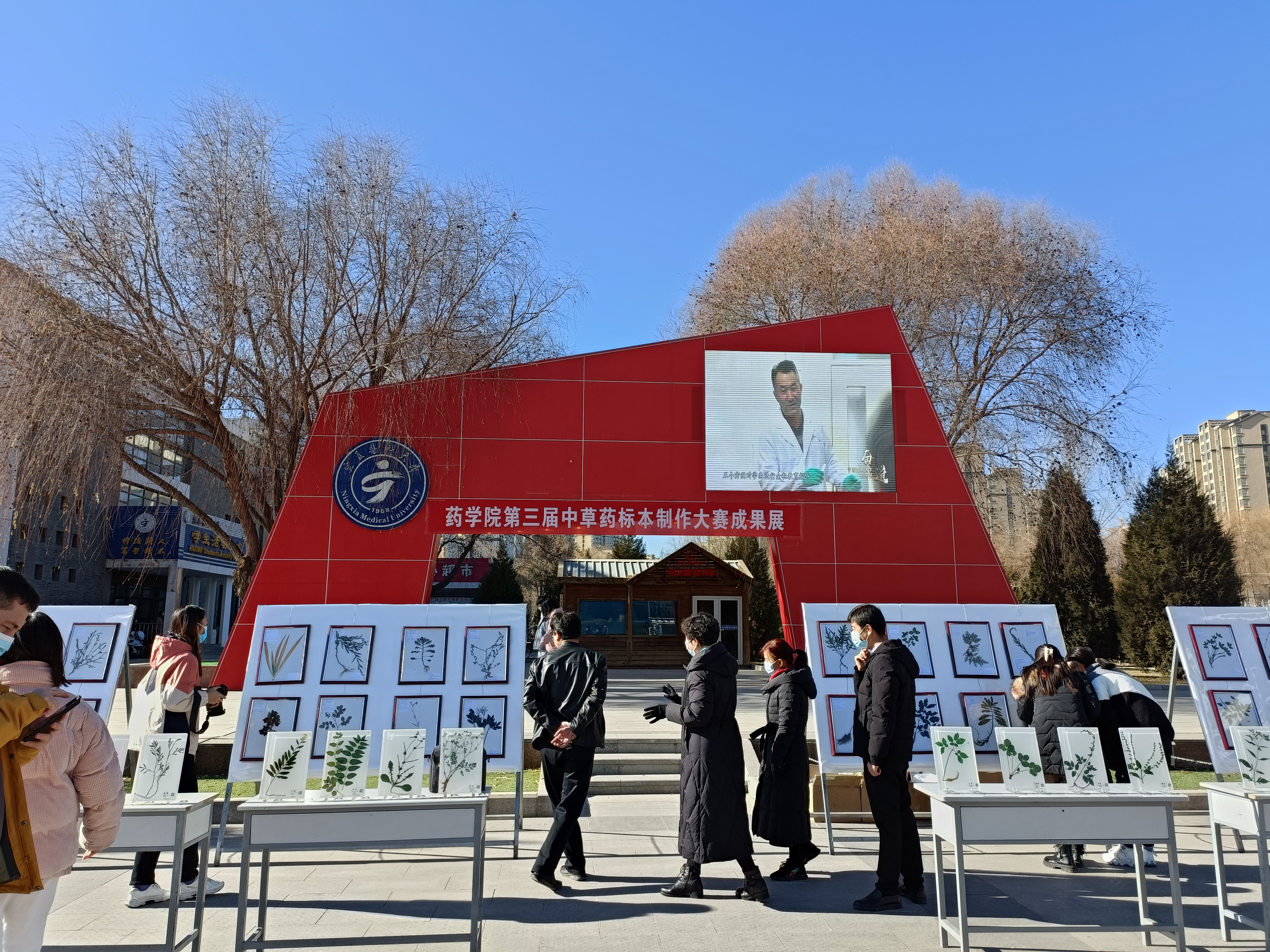 师生参观中草药标本大赛成果展示.jpg 师生参观中草药标本大赛成果展示.jpg
