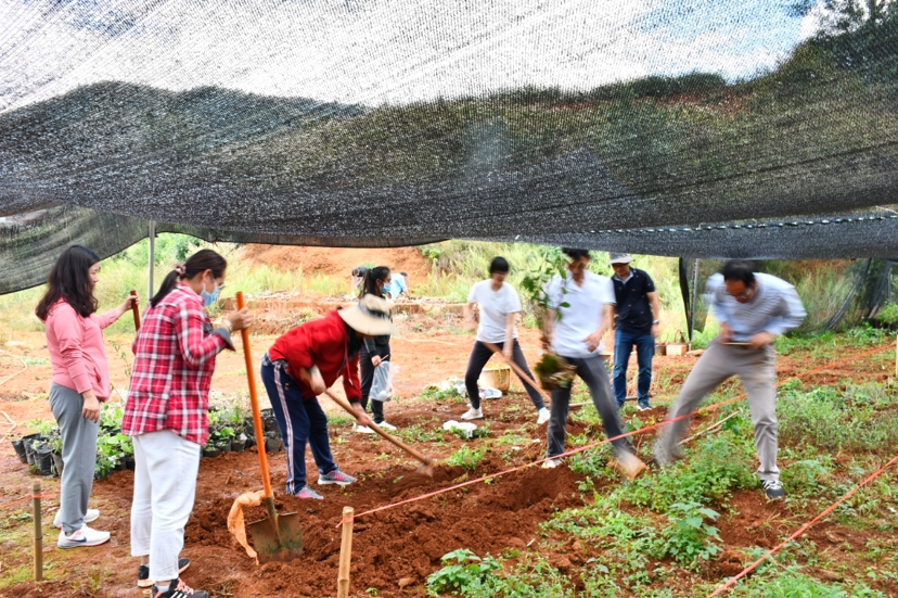 民族药种植基地建设9