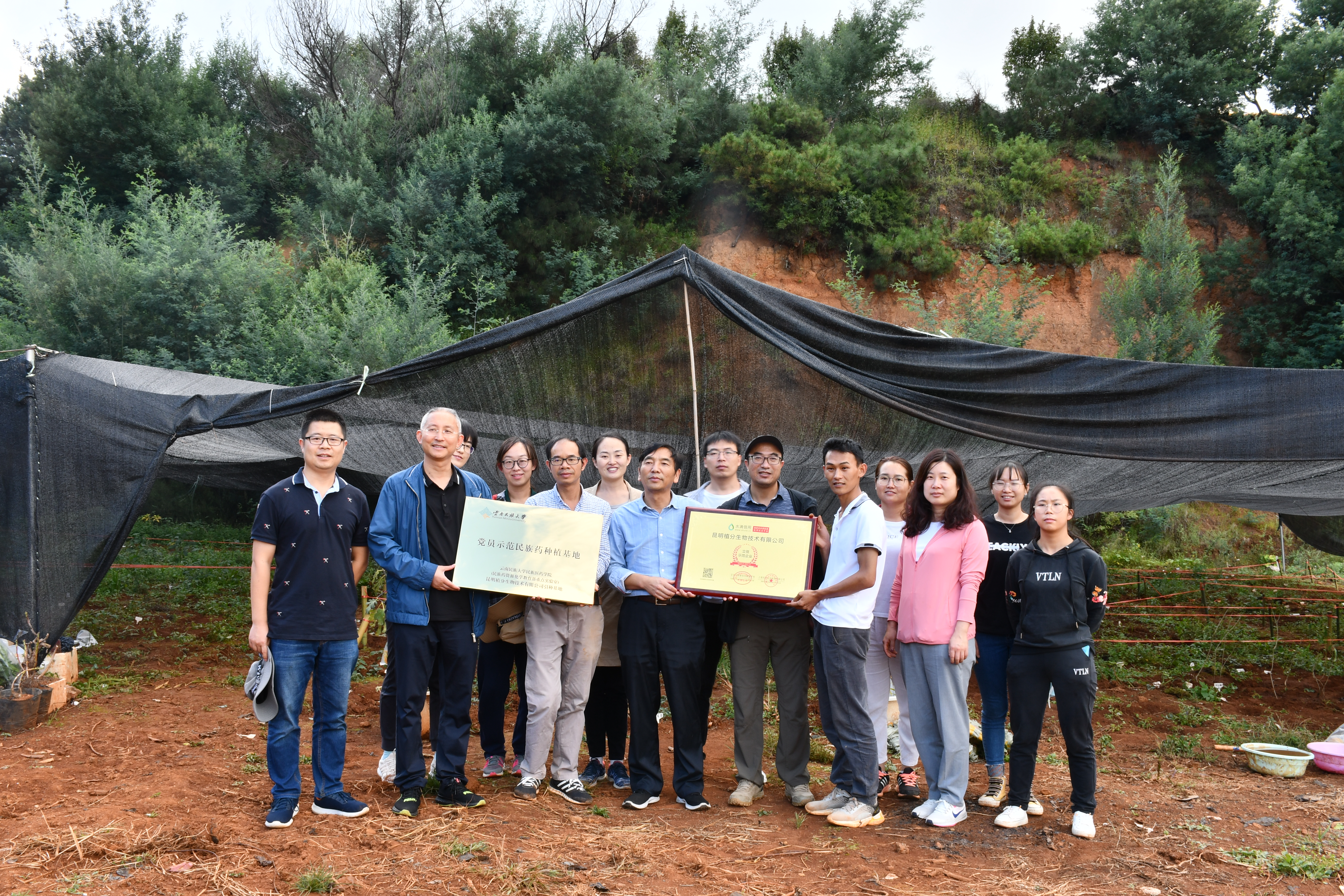 民族药种植基地建设10