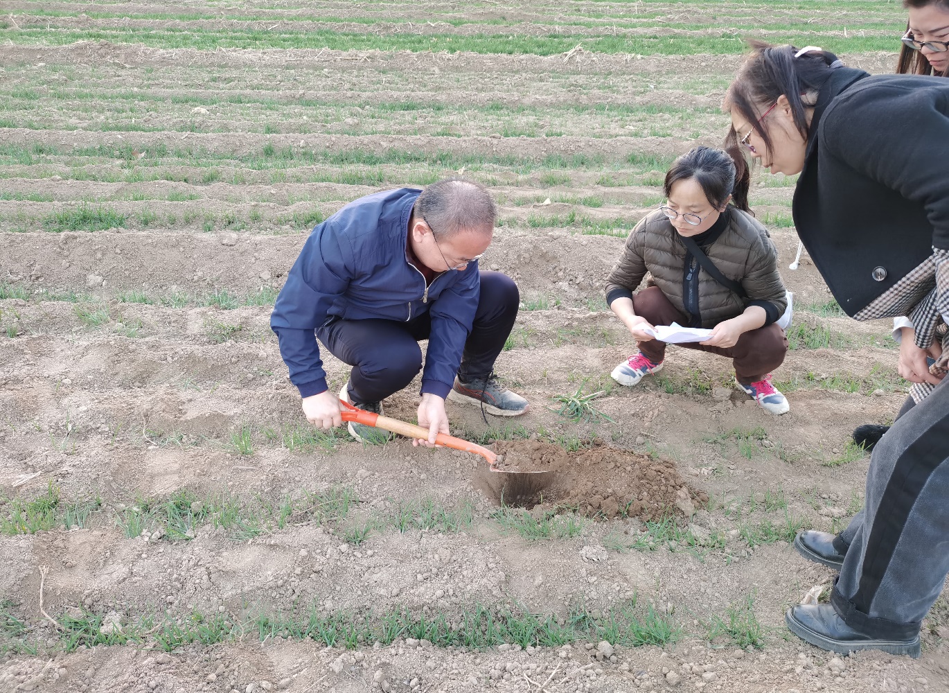 王东教授（左一）与当地技术人员和农户一起查看苗情和土壤墒情.jpg