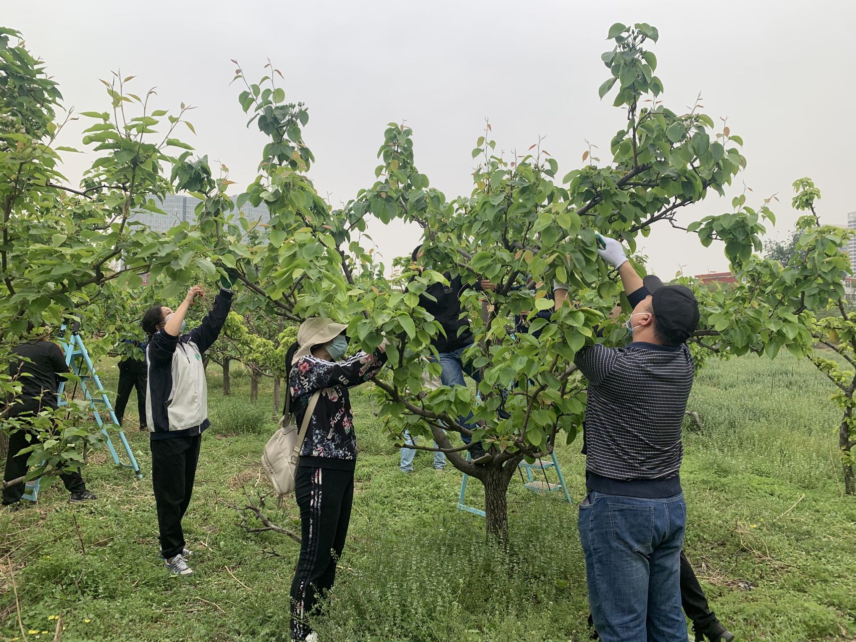 微信图片_20220501211136.jpg 微信图片_20220501211136.jpg