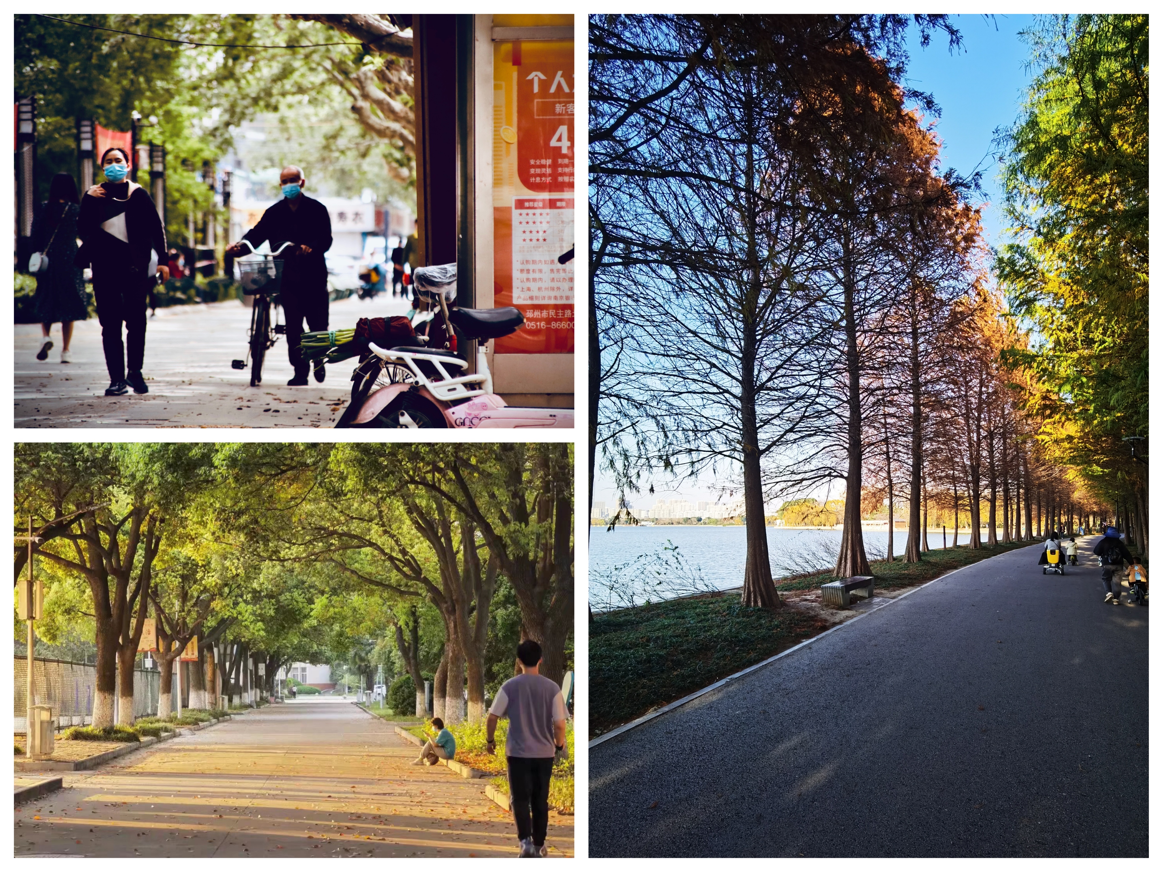 拼图1.JPG 拼图1.JPG