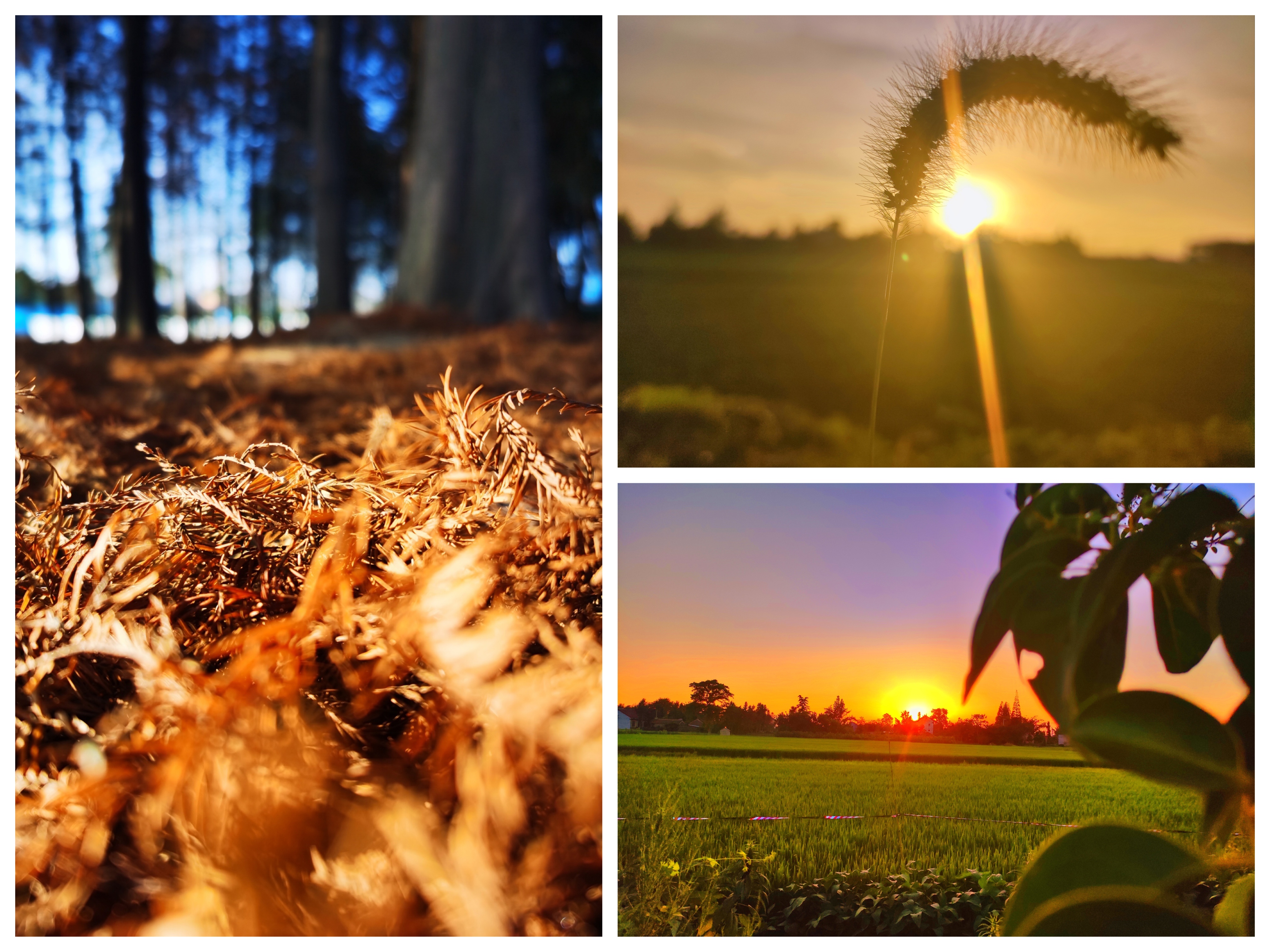 拼图2.JPG 拼图2.JPG