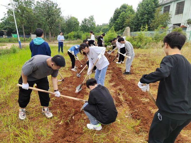 稿7-1.jpg 稿7-1.jpg