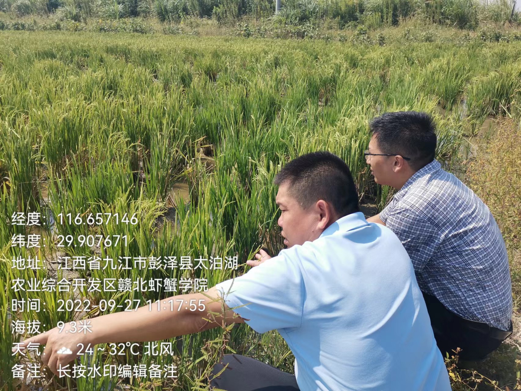 支部党员彭扣同志赴彭泽县开展农业抗旱救灾保供工作。