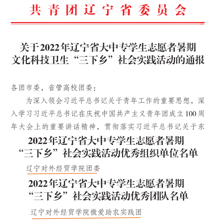 我校学生在“三下乡”社会实践活动中喜获佳绩