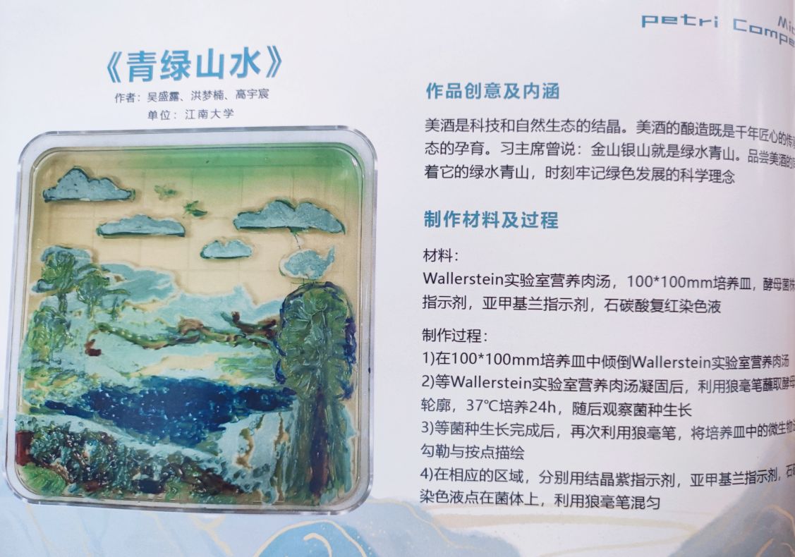 2022年8月，学院承办首届全国“习酒杯”微生物绘画艺术大赛，图为支部党员获奖作品《青绿山水》，用微生物描绘绿色发展的科学理念。