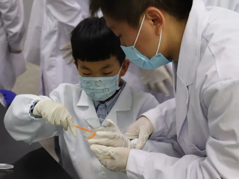 2022年12月，“从生命科学到生物制造”公众科学日特色活动中，党支部的博士生们带领小朋友亲手体验科学实验，走近微生物。