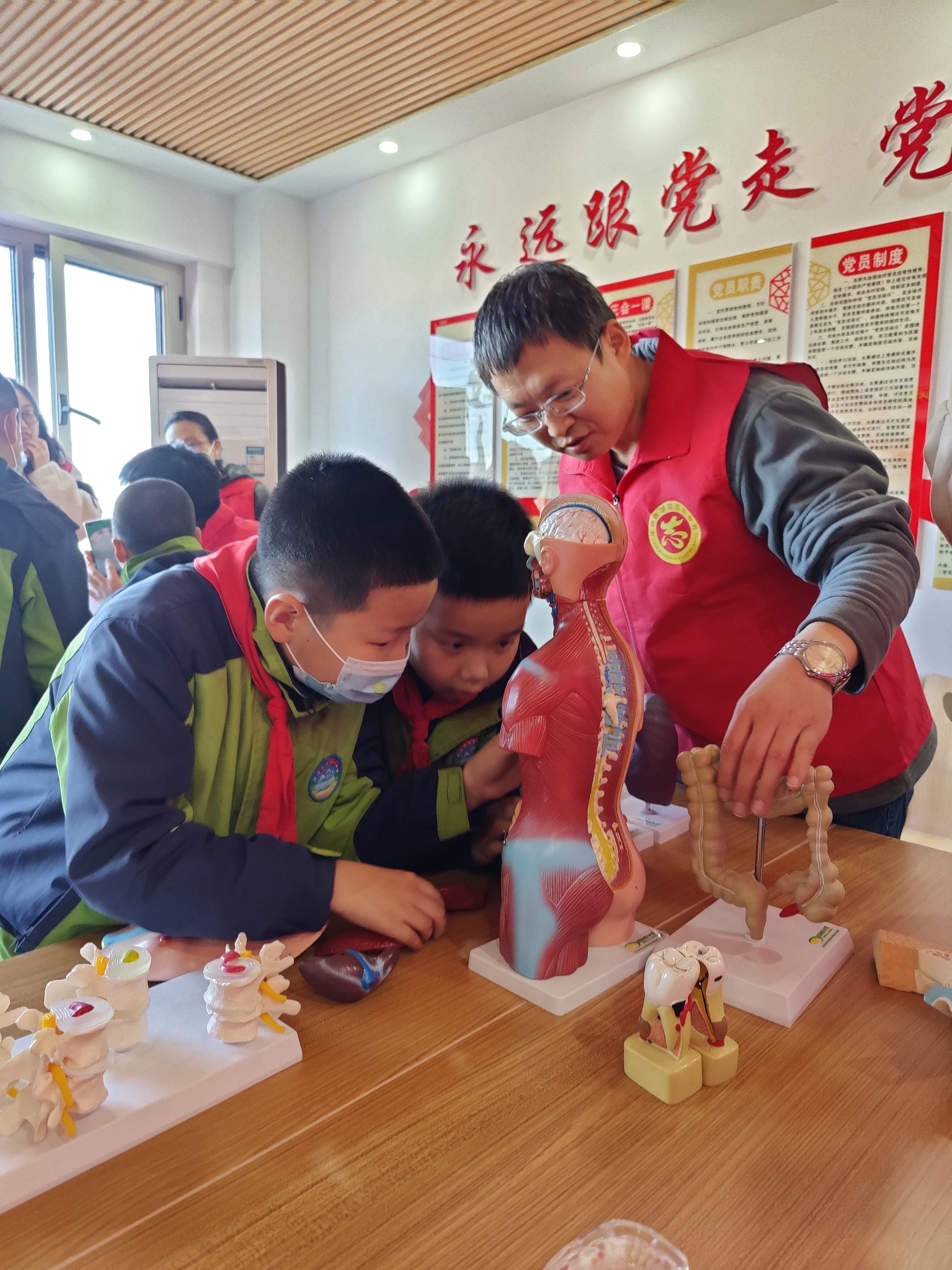 支部党员杨建讲解人体模型.jpg