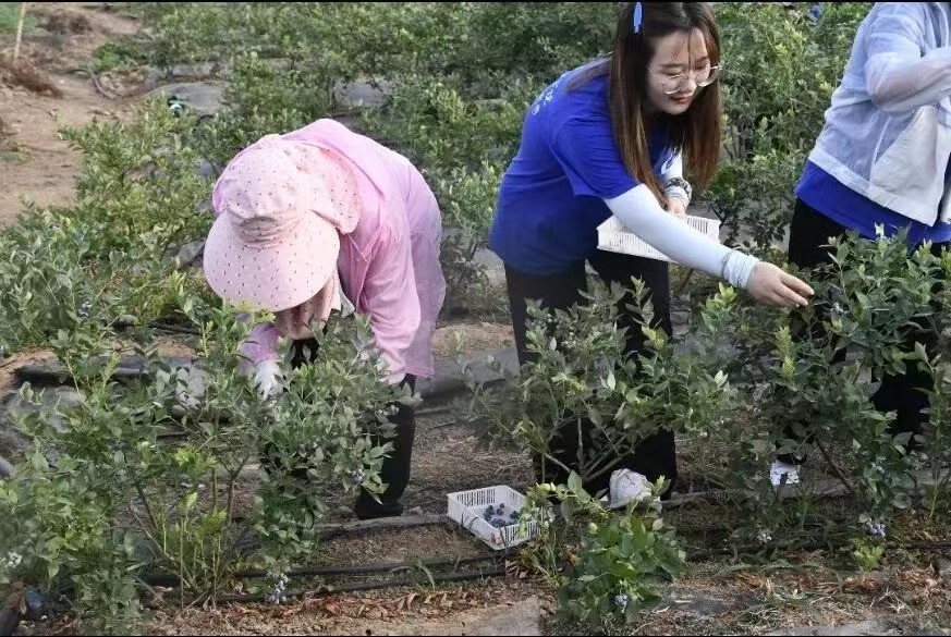 333333.jpg 333333.jpg