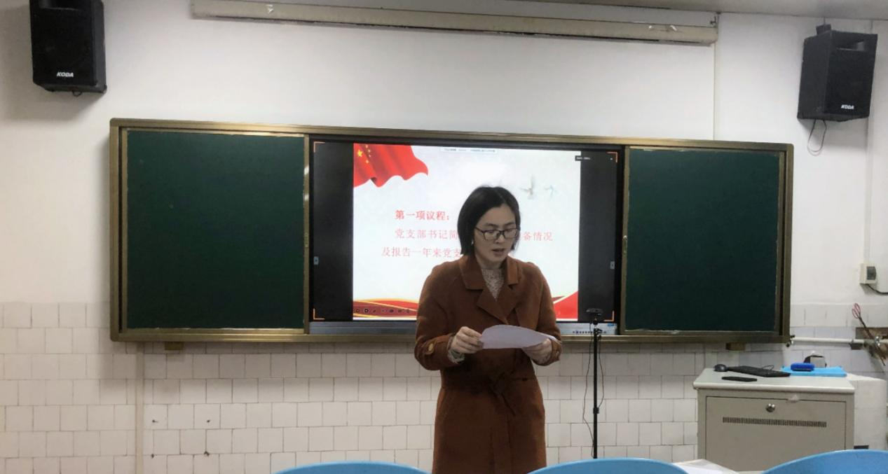 苏银花报告支部工作情况.png 苏银花报告支部工作情况.png