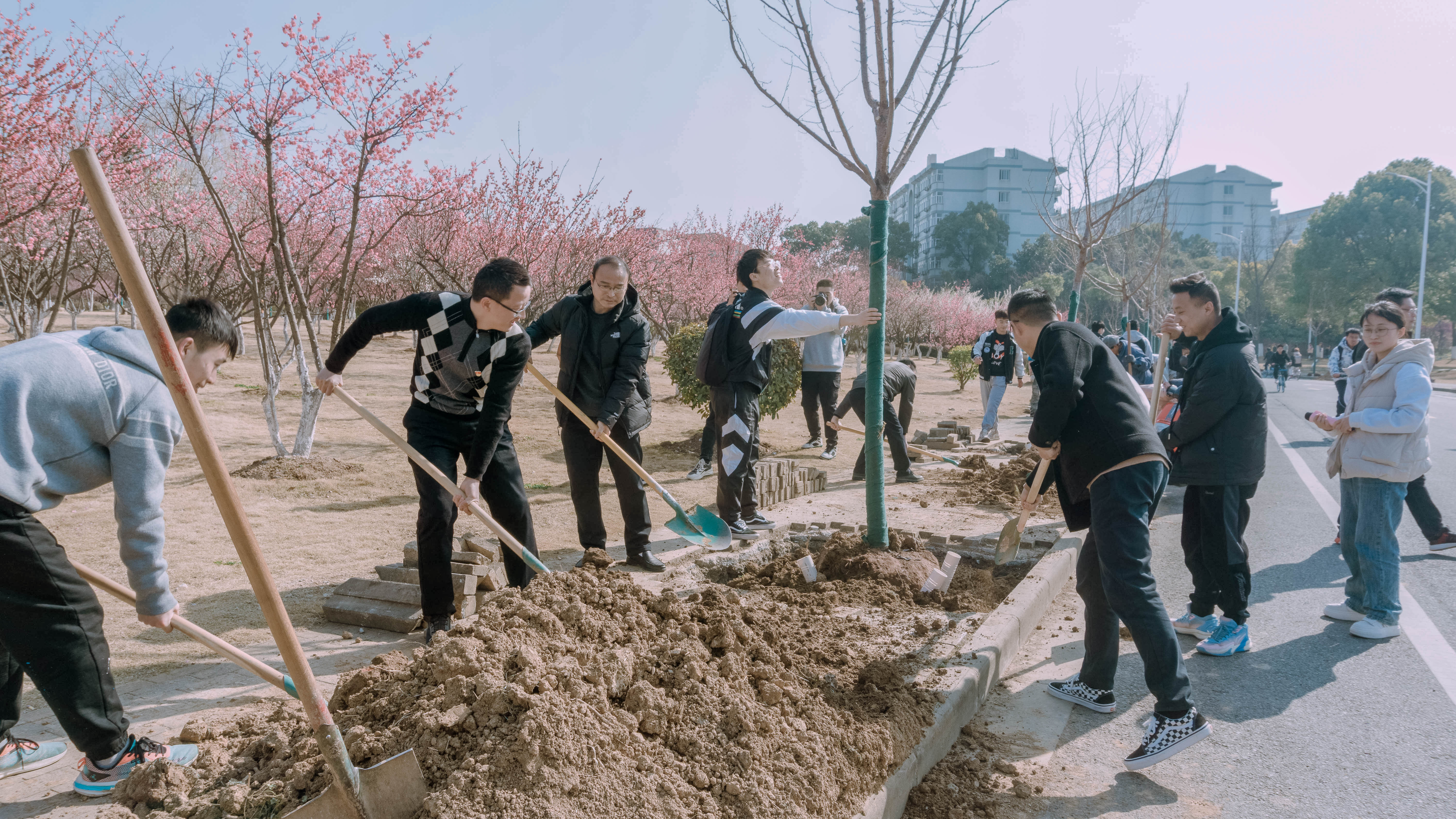 1.师生植树现场.jpg