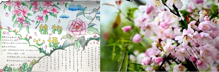 图 5 植物心语手绘作品 (2).jpg