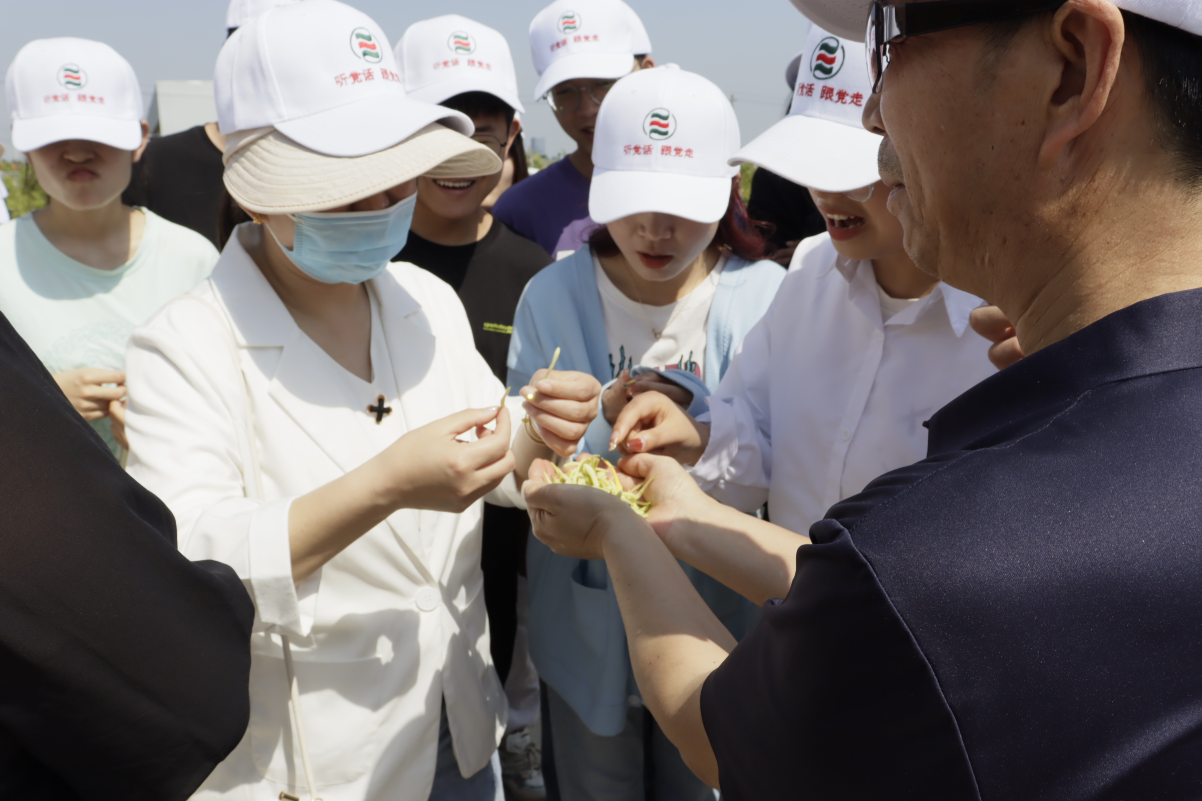 田万强教授讲解金银花药用效果.JPG