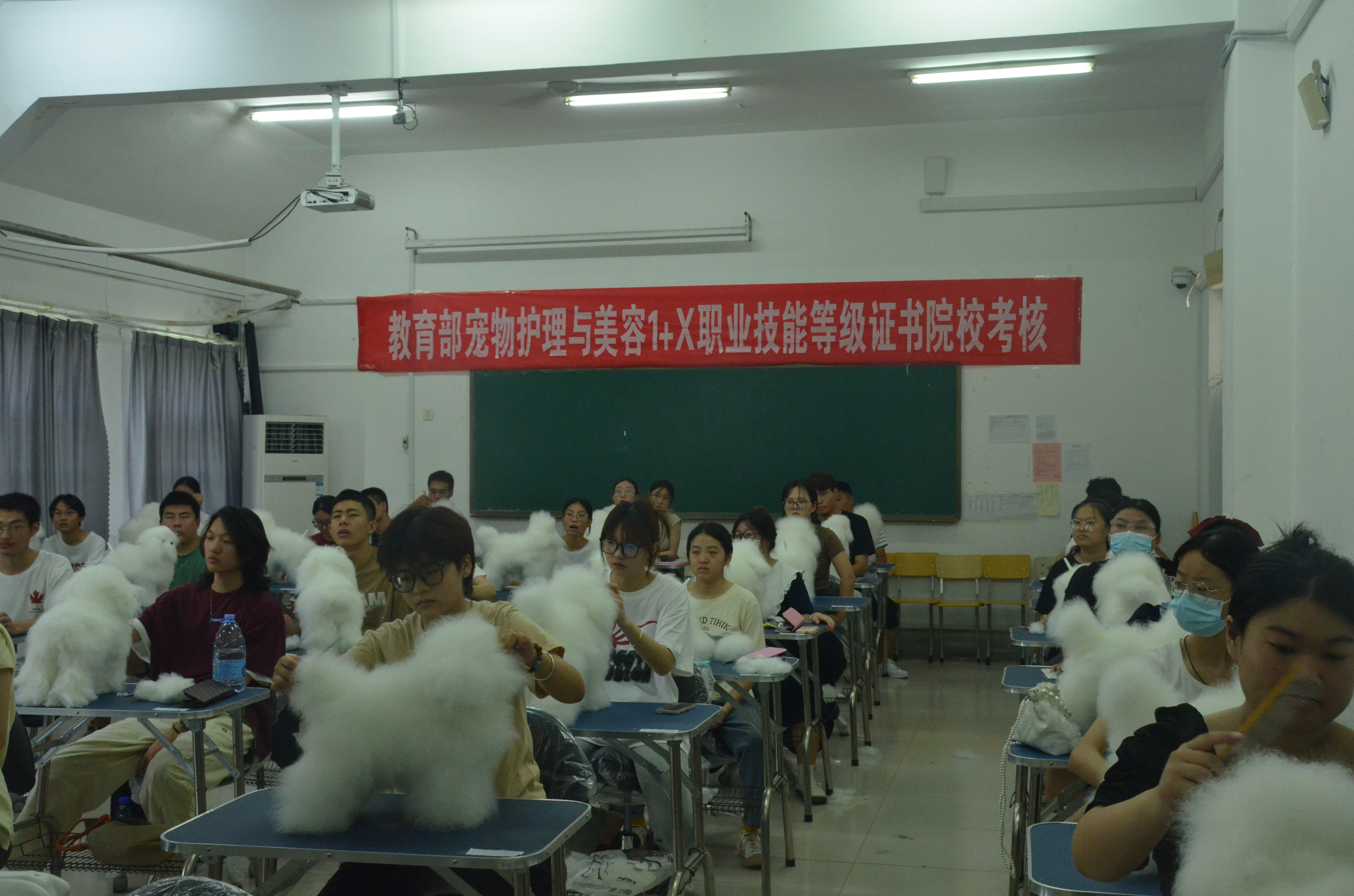 DSC_1071.JPG DSC_1071.JPG