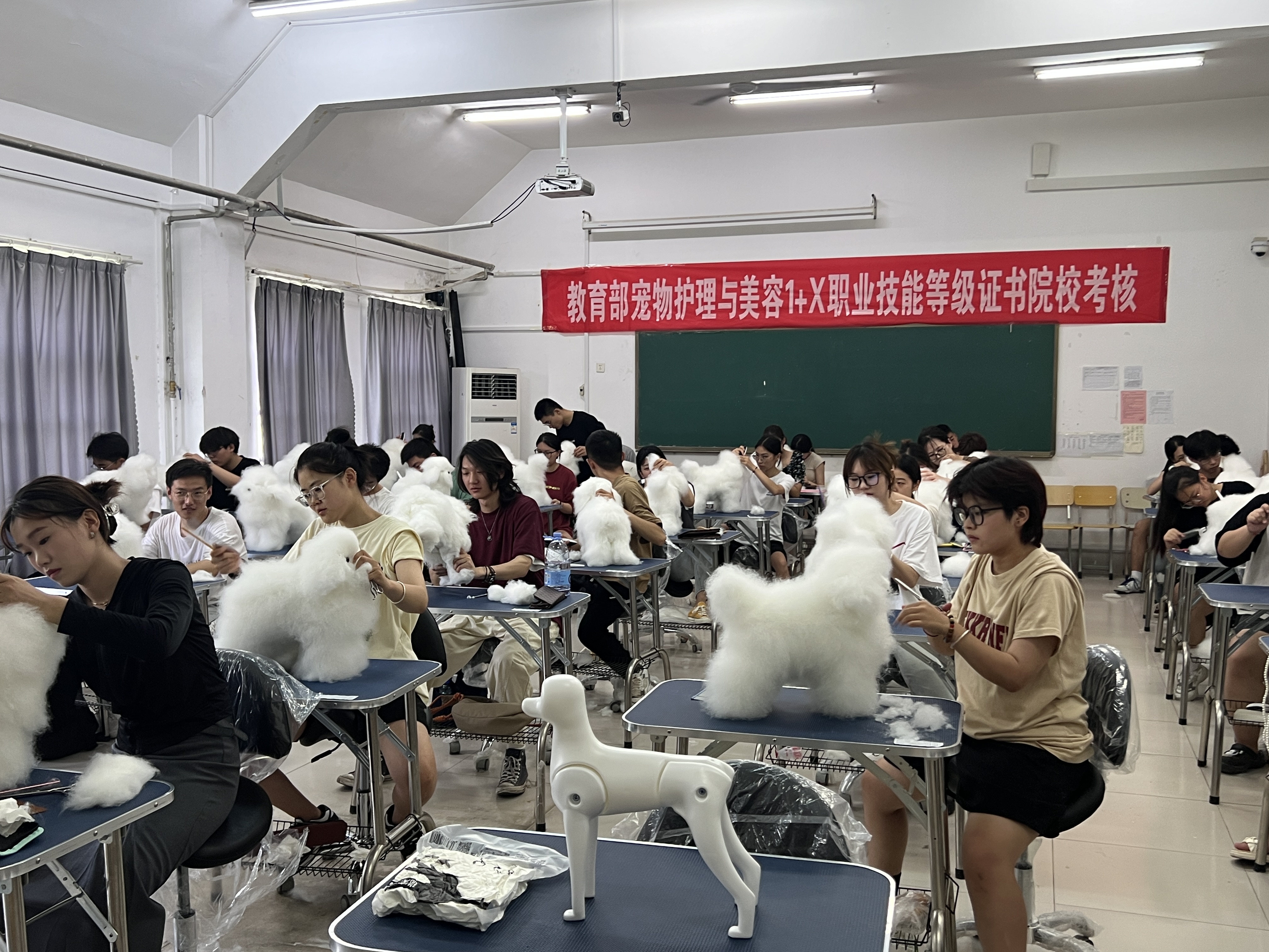 a0fbffb0185fd57cc98831f743695c1.jpg a0fbffb0185fd57cc98831f743695c1.jpg