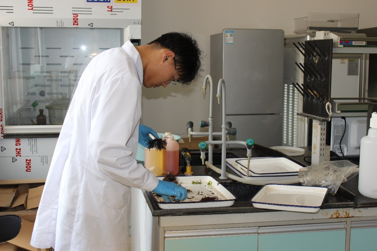 图片1.png 图片1.png