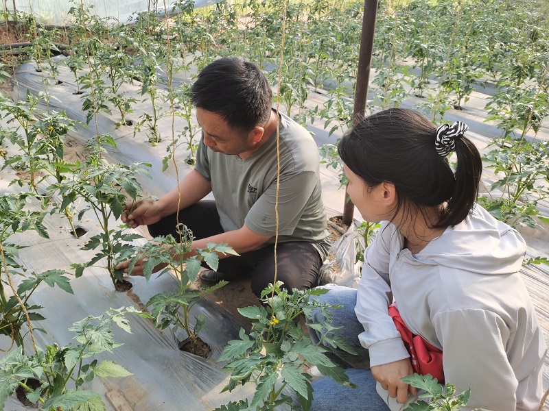 园区负责人讲解设施种植情况.jpg