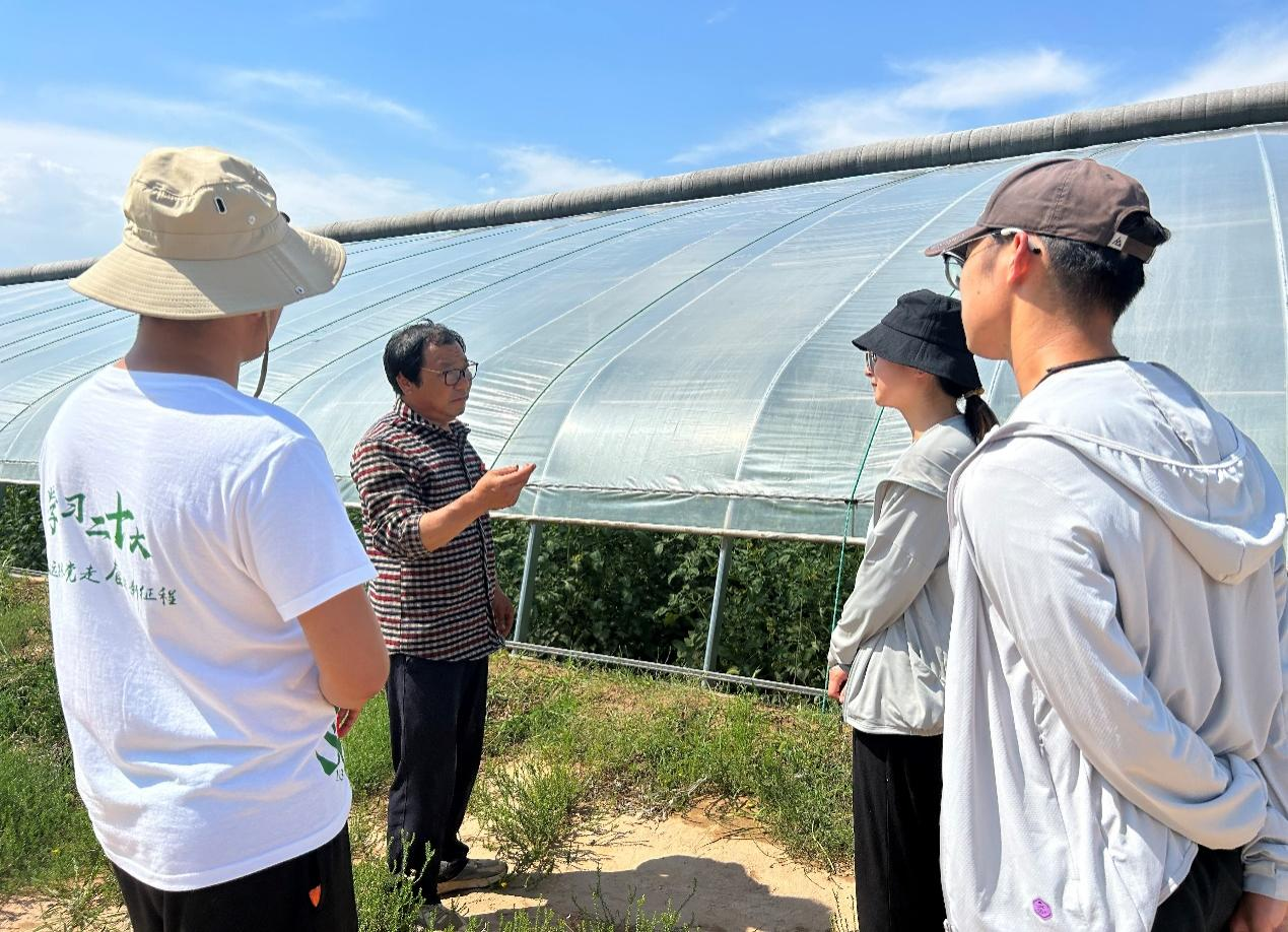 定边县种植农户向团队成员讲解特色番茄种植技术及经济效益.png