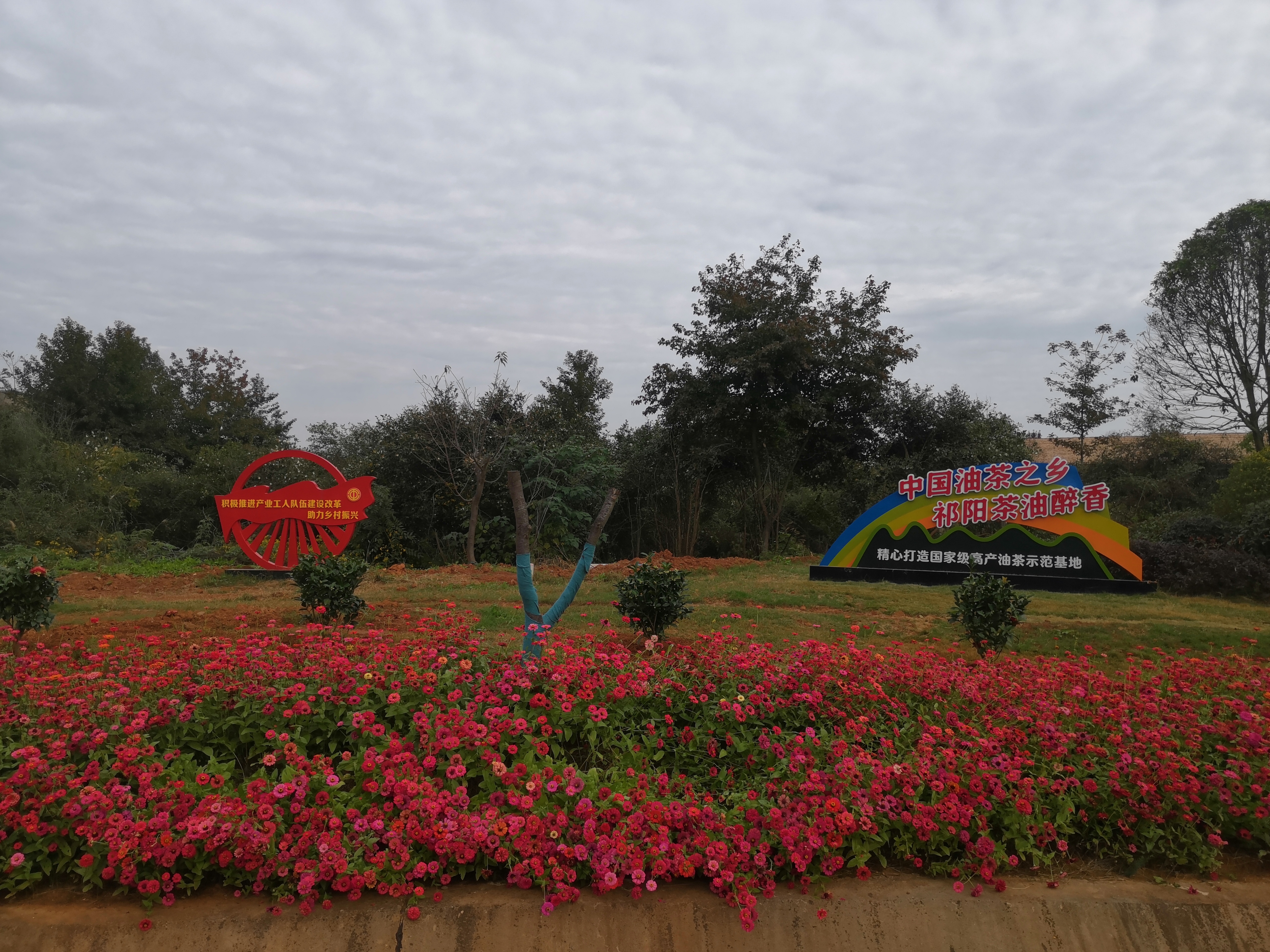 20231118祁阳现代农业产业园1 (2).jpg