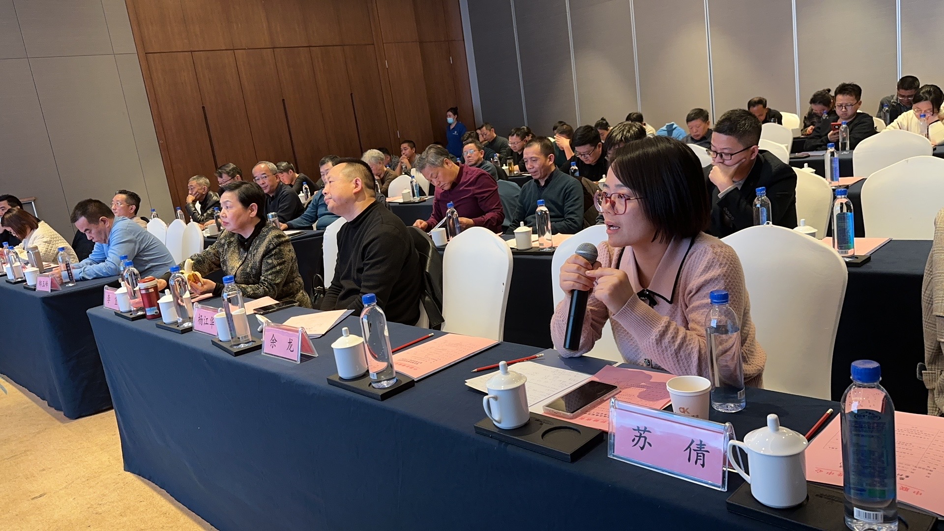 苏倩参与专题讨论.jpg