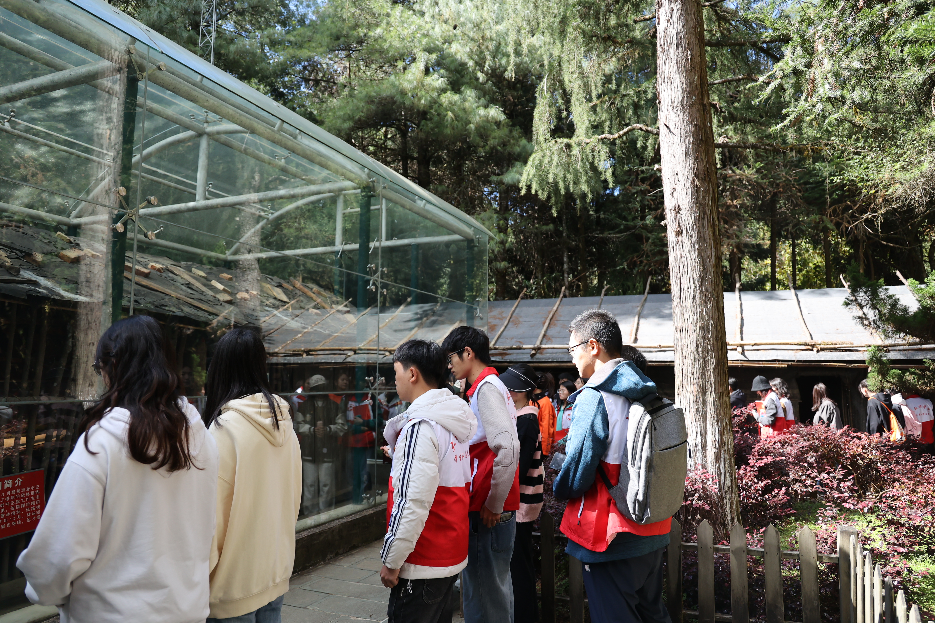 老窝棚.JPG 老窝棚.JPG