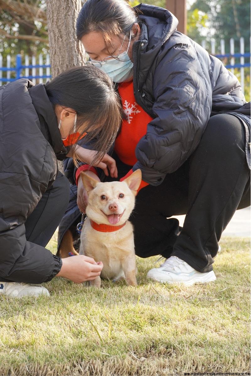 志愿.jpg 志愿.jpg