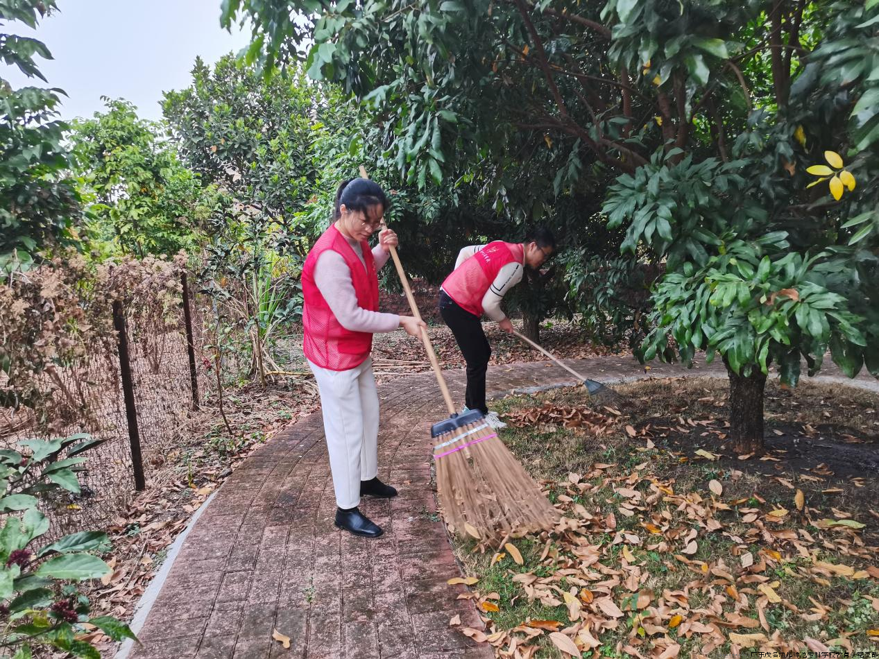 图片5.png 图片5.png