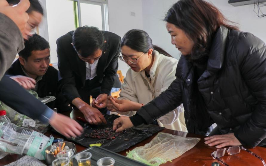 04e785b00f5140b8a2ca751704341e96.Jpeg 04e785b00f5140b8a2ca751704341e96.Jpeg