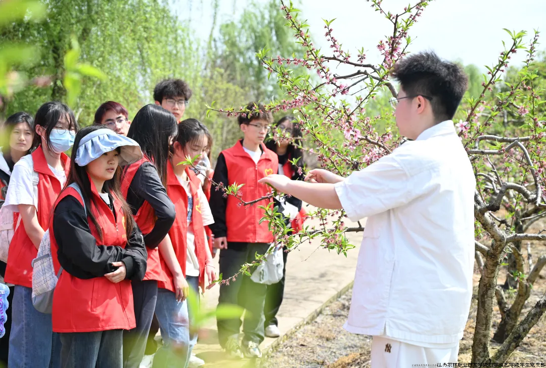 QQ图片20240413190101.png QQ图片20240413190101.png