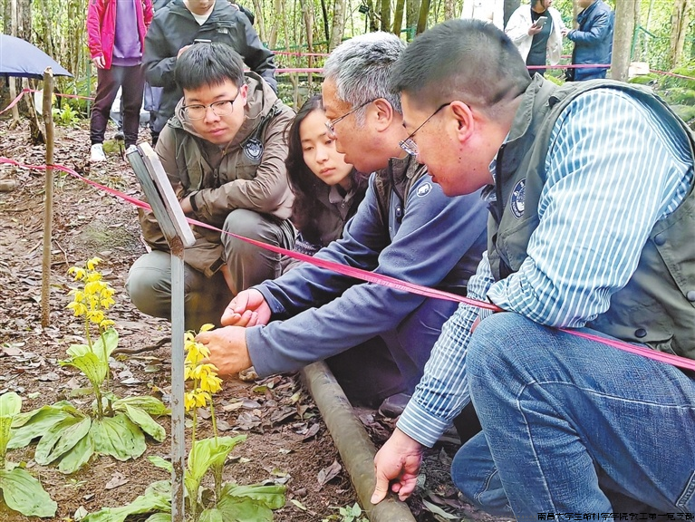 图片1.png 图片1.png