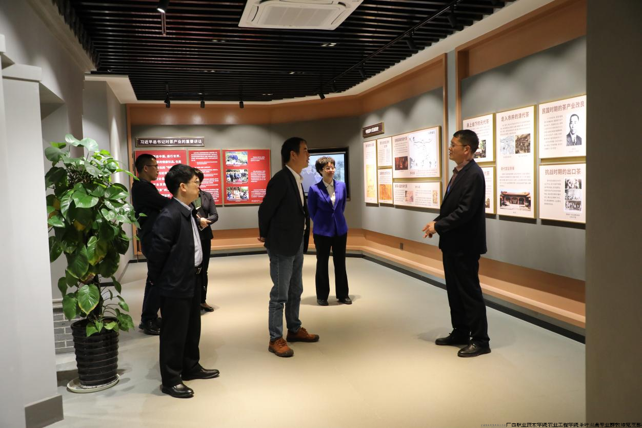 图片1 专家组考察广西茶叶博物馆.png